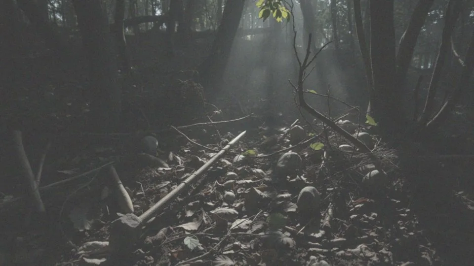 Jakie rodzaje broni są dostępne w Sons of the Forest?